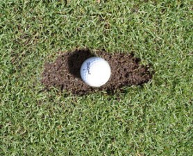 lots of divot fairwayì ëí ì´ë¯¸ì§ ê²ìê²°ê³¼