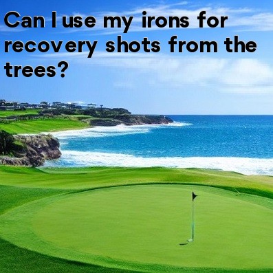 Can I use my irons for recovery shots from the trees
