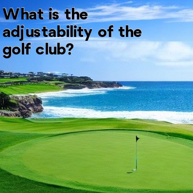 What is the adjustability of the golf club What is the adjustability of the golf club