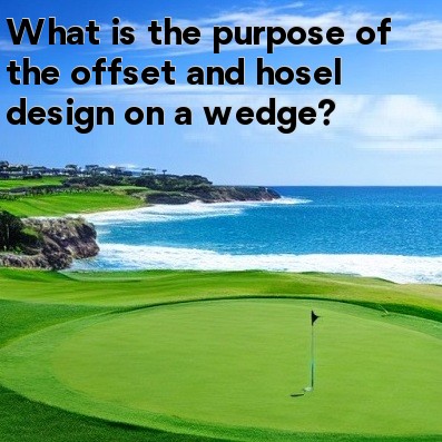 What is the purpose of the offset and hosel design on a wedge