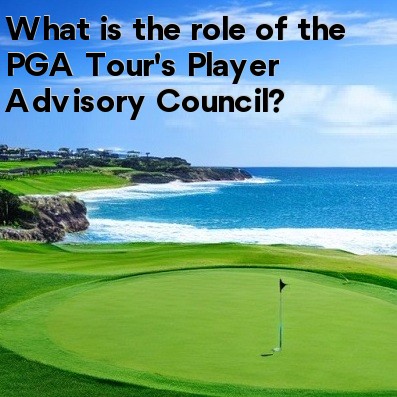 What Is The Role Of The PGA Tour’s Player Advisory Council?