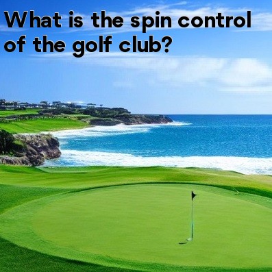 What is the spin control of the golf club What is the spin control of the golf club