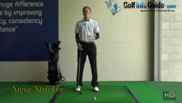 Steve Stricker Golf Pro - Video - by Pete Styles