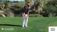 Basic Locked In Chipping Stance by Tom Stickney