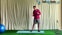 Dogs and Cats For Swing Speed Video - by Peter Finch