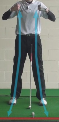 back dual shoulder strap back dual shoulder strap