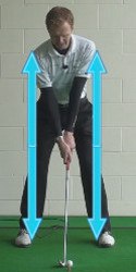 flop shot term
