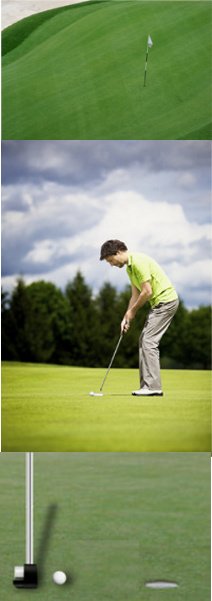 Golf Rule 16, The Putting Green