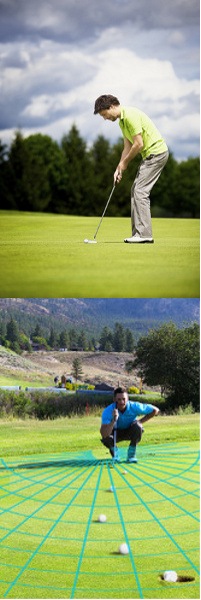 What Affect Does The Grain Have On The Speed That I Should Hit My Golf Putts What Affect Does The Grain Have On The Speed That I Should Hit My Golf Putts