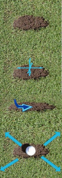 Learning from Divot Shape