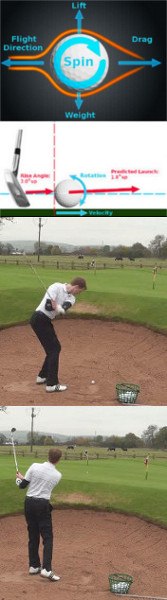 The Low Spinner The Low Spinner