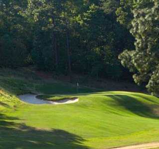Palmetto Golf Club Course Review