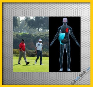 Walk the Golf Course for Added Health Benefits 