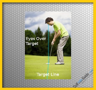 Where Should My Eyes Be In Relation To The Golf Ball When I Am Putting?