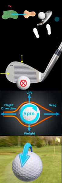 Understanding Spin in the Bunker