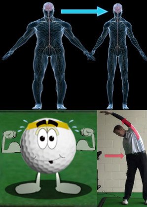Muscles Golf Lesson Chart